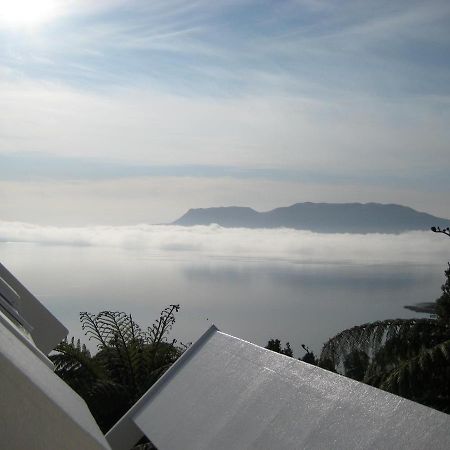 Te Whare -Lake Tarawera Tree-Top Nest Екстериор снимка