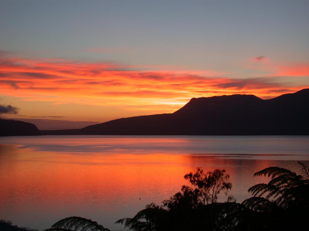 Te Whare -Lake Tarawera Tree-Top Nest Екстериор снимка